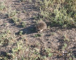 photo-0093223